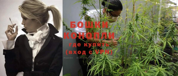 дурь Балахна
